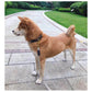 Soft Leather & Nylon Dog Collar – Adjustable for All Sizes
