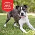Gravy Train Beefy Classic Dry Dog Food, 14 Lb. Bag