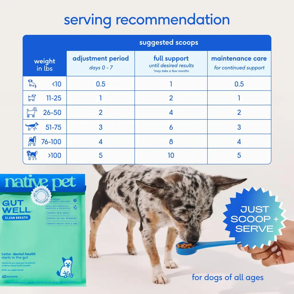 Native Pet GutWell | Dog Breath Freshener & Teeth Cleaning Powder | Triple-Biotic, Brown Algae & Zinc | 60 & 120 Scoops