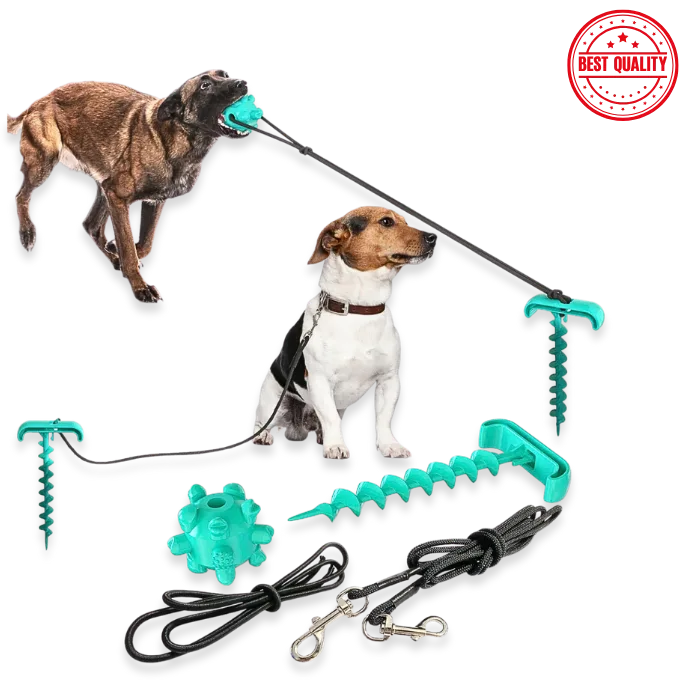 Dog Toy Set – Rope Toys & Training Balls for Active Play
