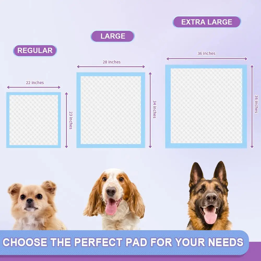 IMMCUTE Puppy Pee Pads 22"x23" & 30"x28" | 6-Layer Super Absorbent Leak-Proof Disposable Dog Training Pads