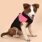 Alpine Trail Dog Vest - Plush Lined Winter Coat