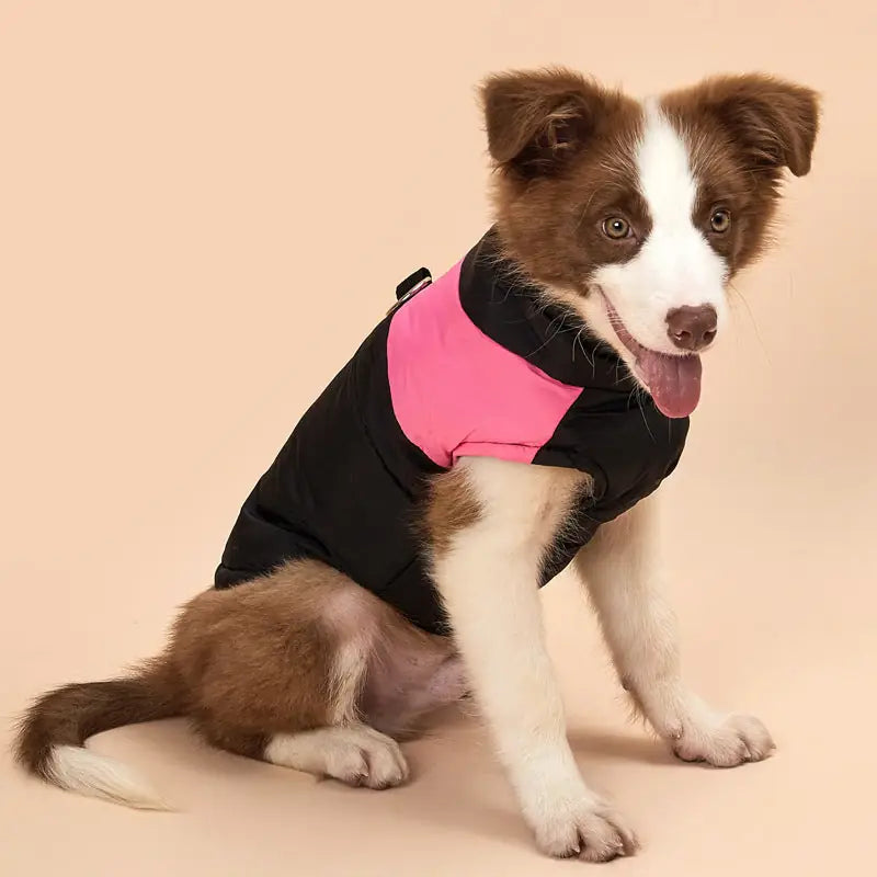 Alpine Trail Dog Vest - Plush Lined Winter Coat