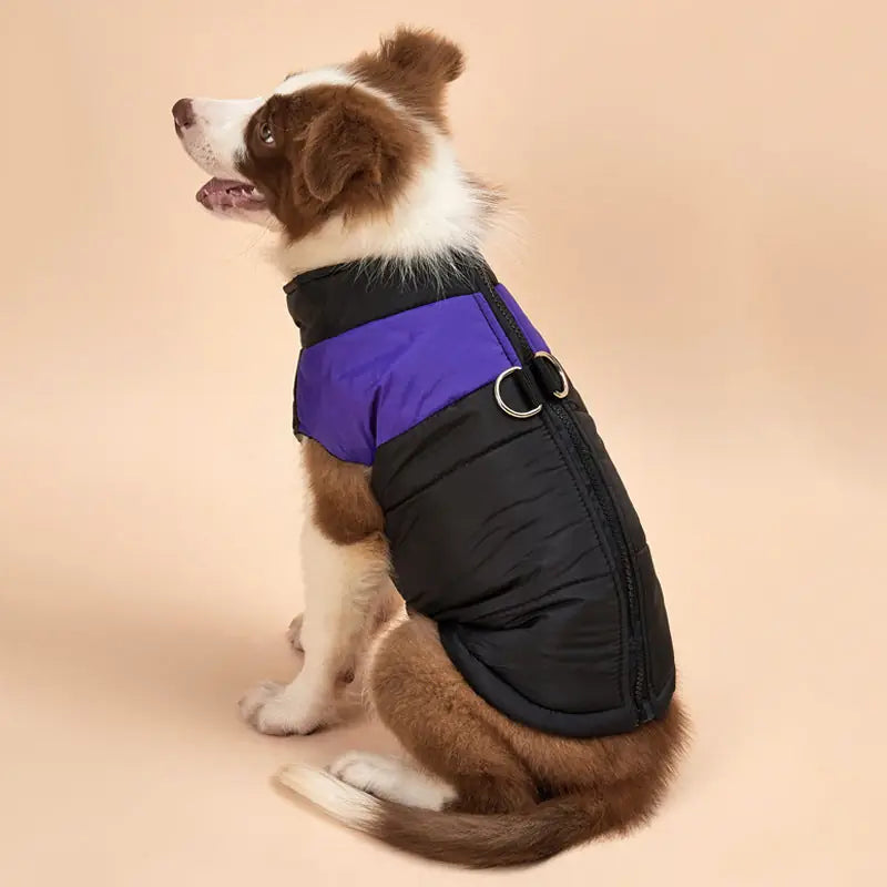 Alpine Trail Dog Vest - Plush Lined Winter Coat