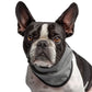 US Army Dog Cooling Bandana - Grey | Military-Grade Cooling Scarf for Dogs | Heat Relief for Active & Working Dogs