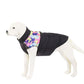 Alpine Trail Dog Vest - Plush Lined Winter Coat