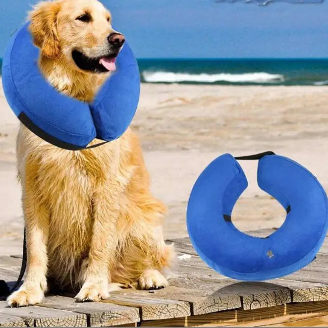 Inflatable Pet Recovery Collar – Soft Protective E-Collar