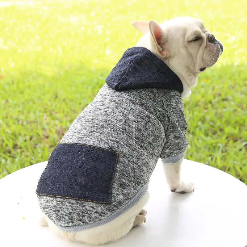 Urban Explorer Hoodie - Denim Pocket Pet Sweater
