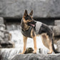 US Army Dog Cooling Vest - Grey | Military-Grade Heat Relief for Working & Active Dogs | Adjustable Evaporative Cooling Jacket
