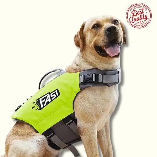 Summer Pet Dog Life Jacket – Safe & Stylish Swimming Vest for Dogs