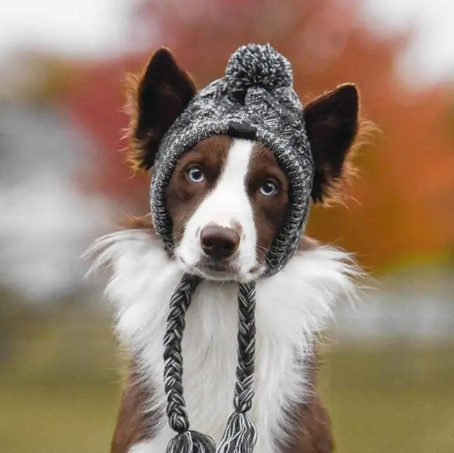 Cozy Pom-Pom Beanie - Winter Knit Hat for Dogs & Cats