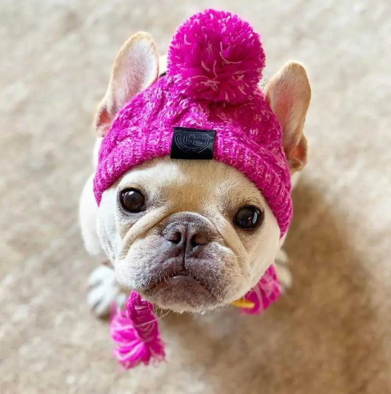 Cozy Pom-Pom Beanie - Winter Knit Hat for Dogs & Cats