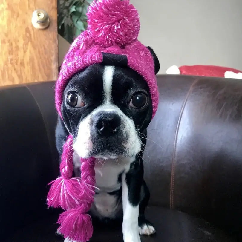 Cozy Pom-Pom Beanie - Winter Knit Hat for Dogs & Cats