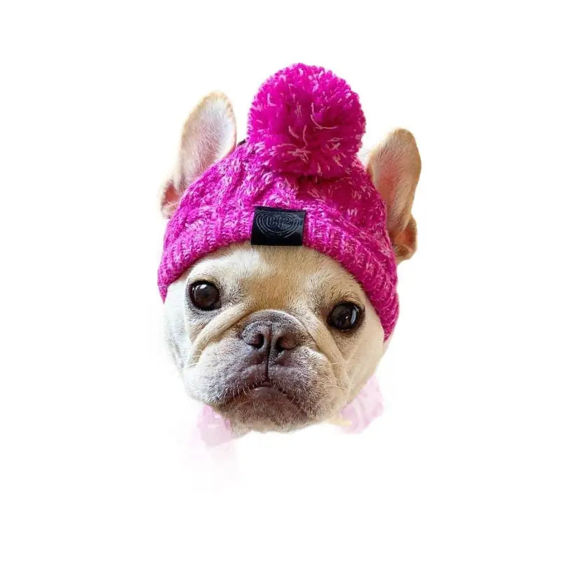 Cozy Pom-Pom Beanie - Winter Knit Hat for Dogs & Cats