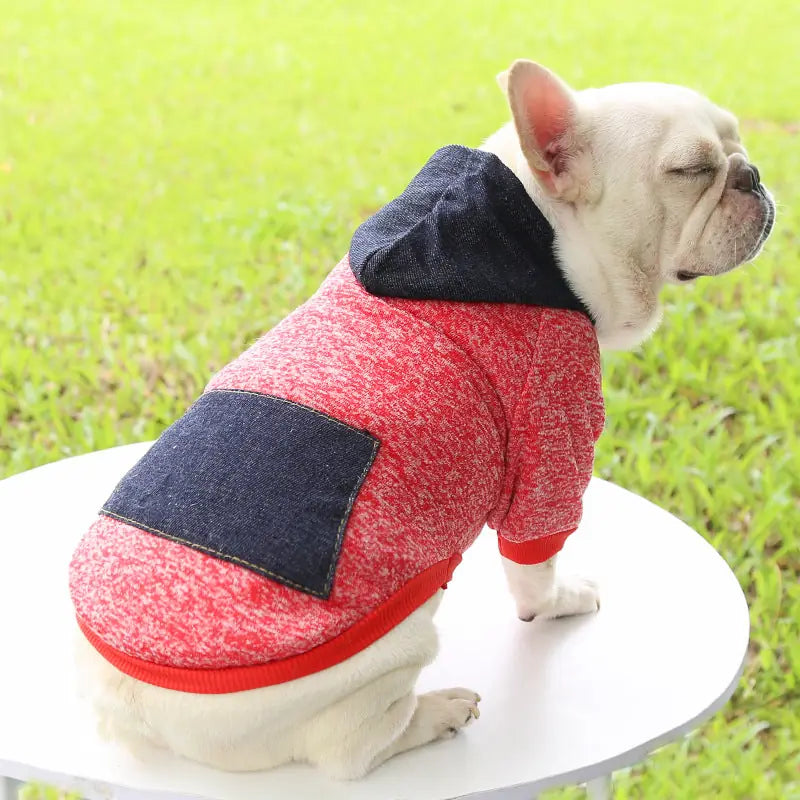 Urban Explorer Hoodie - Denim Pocket Pet Sweater