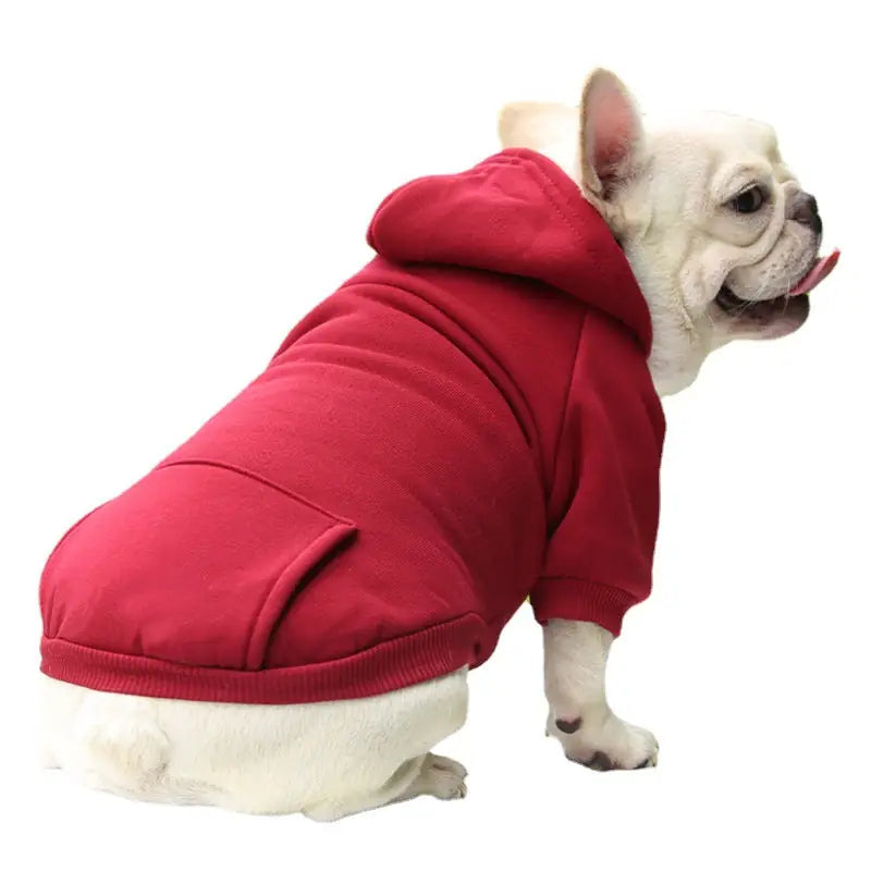 Urban Explorer Hoodie - Denim Pocket Pet Sweater