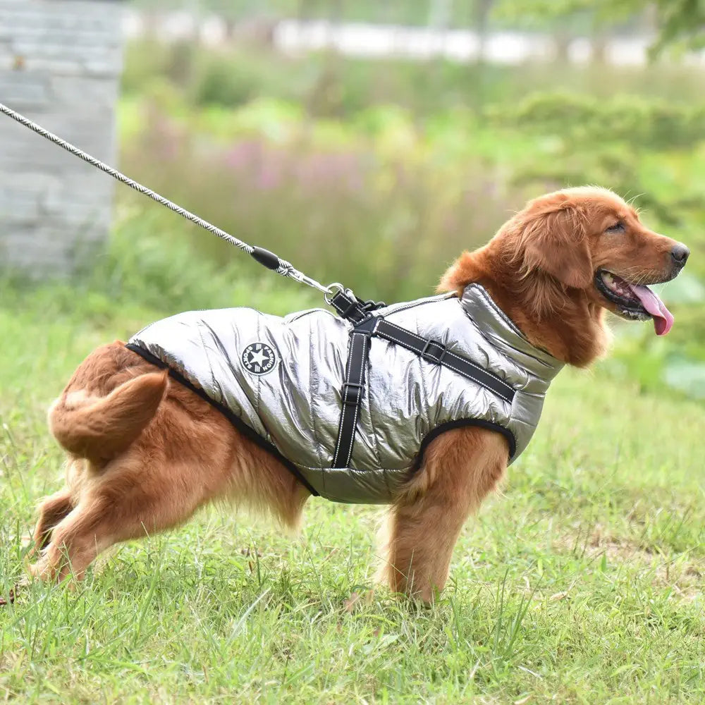 Reflective Cotton Dog Jacket – Warm & Safe Winter Coat for Pets