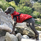 Reflective Cotton Dog Jacket – Warm & Safe Winter Coat for Pets