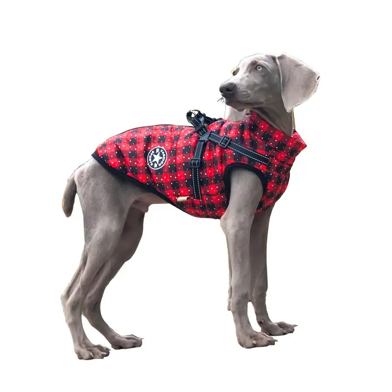 Reflective Cotton Dog Jacket – Warm & Safe Winter Coat for Pets