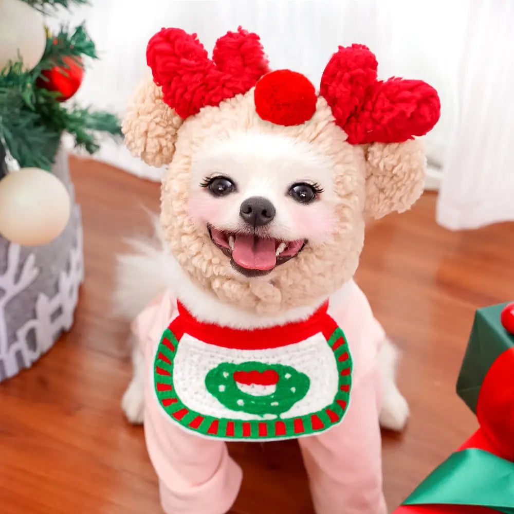 Festive Pet Set - Christmas Hat & Bib for Dogs and Cats