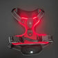 LED Dog Harness with Lights - Rechargeable Light Up Vest & Leash Set (USB Charging)