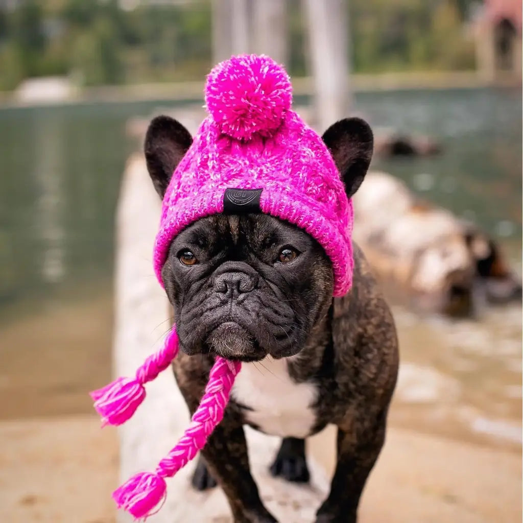 Cozy Pom-Pom Beanie - Winter Knit Hat for Dogs & Cats