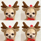 Cozy Critter Hoodie - Fleece Pet Sweater with Fun Design