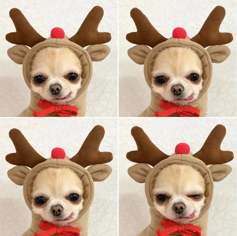 Cozy Critter Hoodie - Fleece Pet Sweater with Fun Design