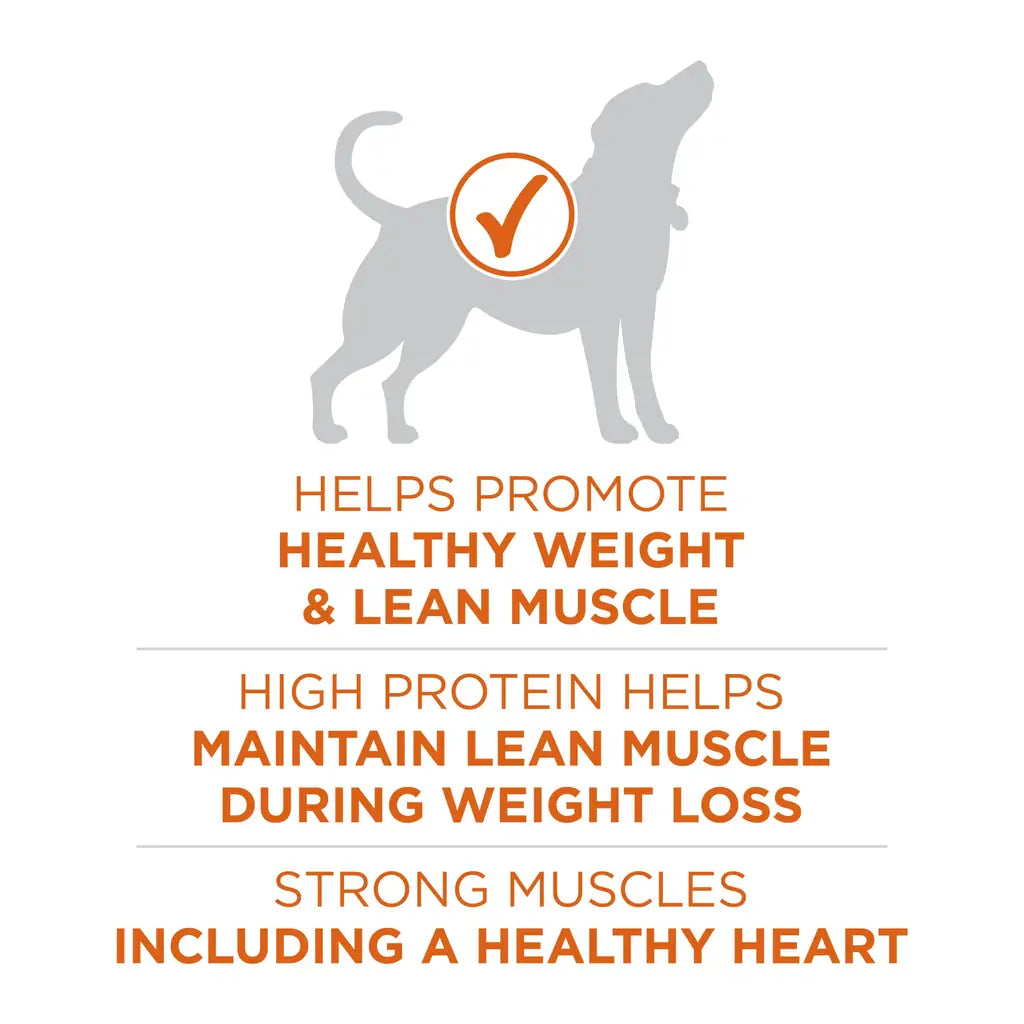 Purina ONE Healthy Weight Dry Dog Food – High Protein Turkey Formula (16.5 lb Bag)