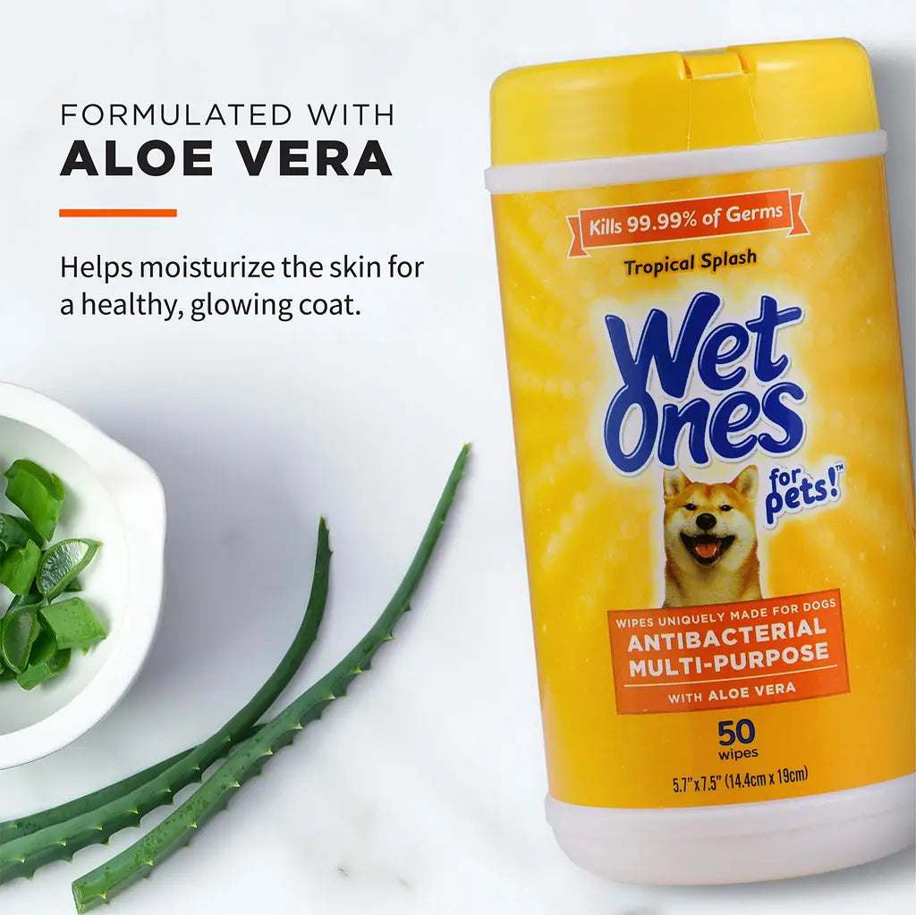 Wet Ones Antibacterial Dog Wipes with Aloe Vera, Tropical Splash Scent, 50 Count & 3-Pack | PawVortex