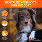 Omega 3 for Dogs – Fish Oil Supplement for Healthy Skin, Coat & Allergy Relief
