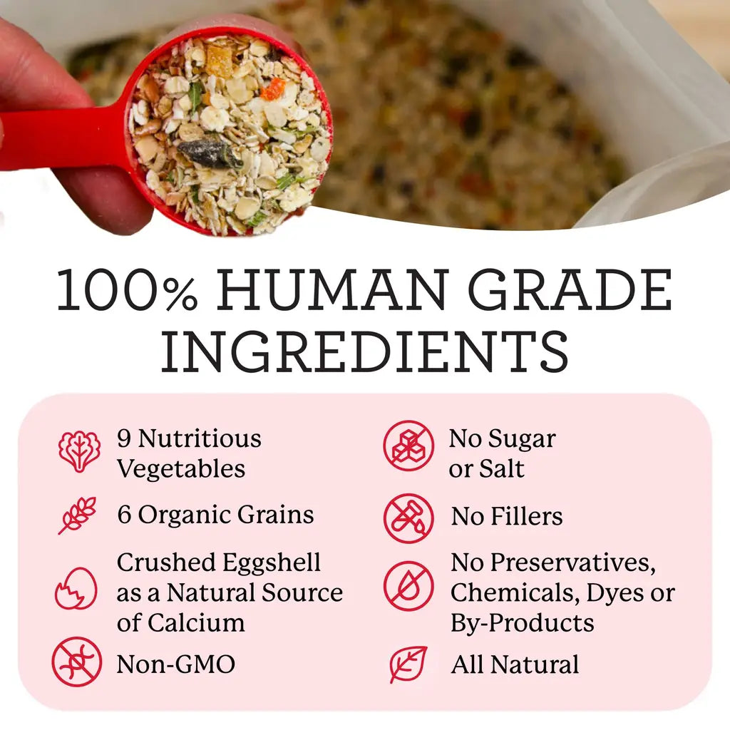 Dehydrated Dog Food Base Mix That Works Around Your Life