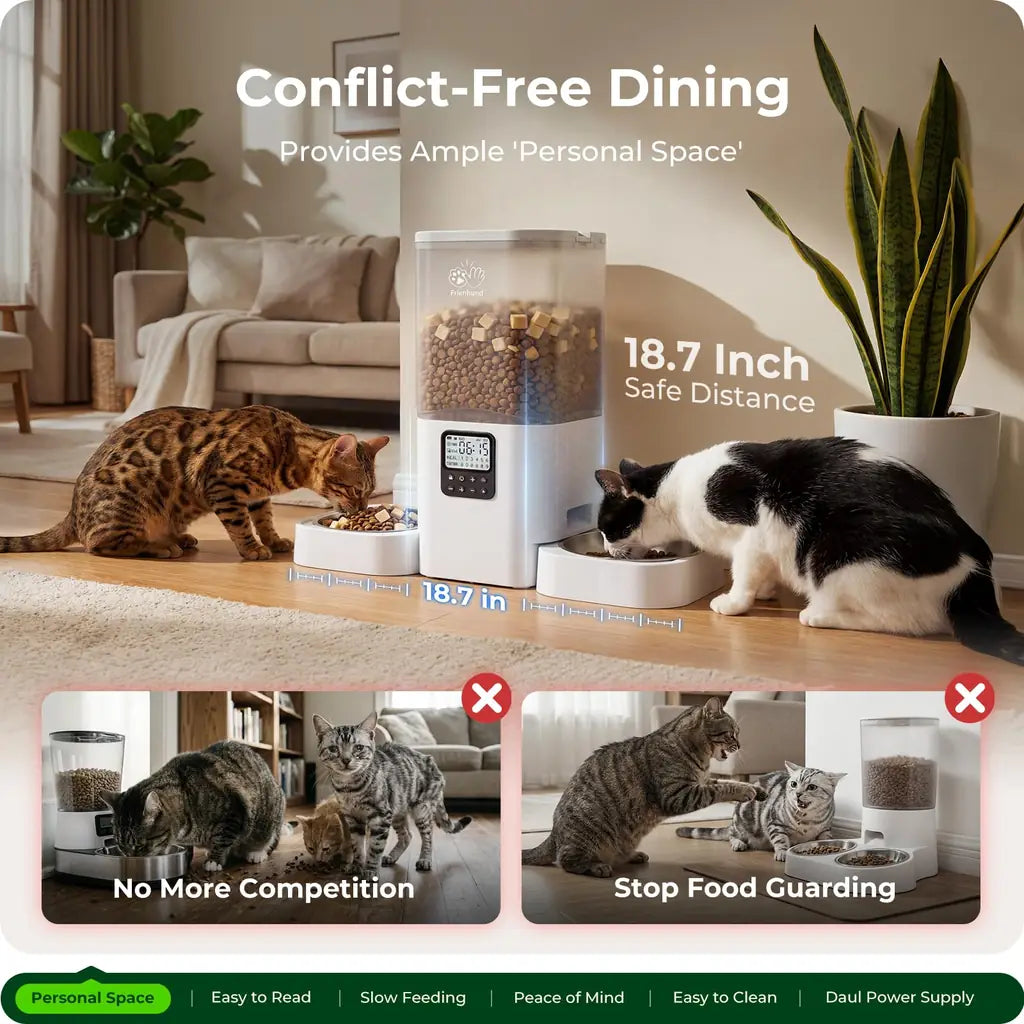 Frienhund Cat Feeder – Easy to Read 2.4" Display