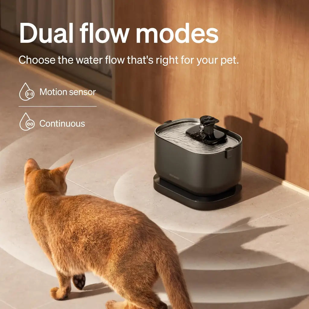 PETLIBRO Cordless Cat Water Fountain | 84oz Battery-Operated | Radar Sensor, 4-Stage Filter & SS Tray | Black