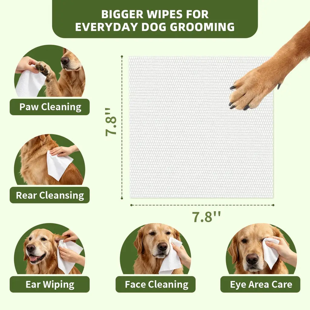Unscented Plant-Based Pet Wipes for Dogs & Cats – Paw, Butt & Coat Cleaning