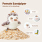 Potaroma Flapping Bird Cat Toy - Motion Sensor, Chirps & Catnip