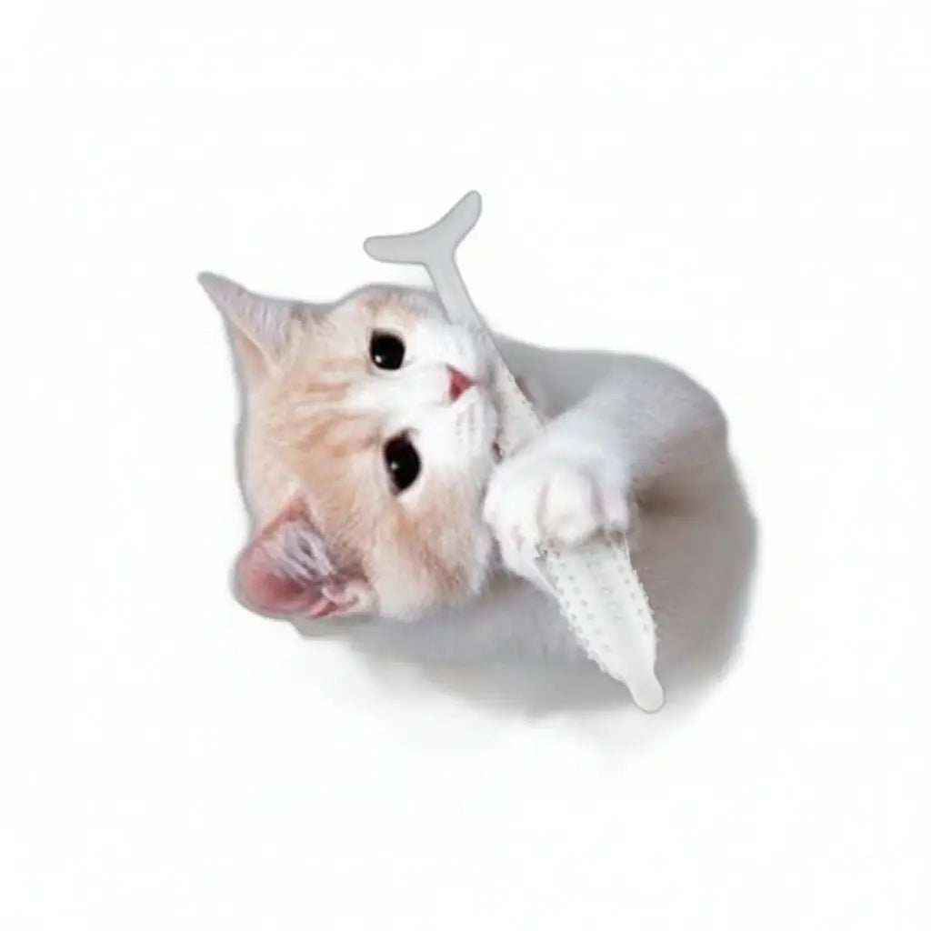 Fin & Grin Dental Fish - Silicone Cat Toothbrush Toy