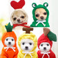 Fruity Friends Hoodie - Apple Print Pet Sweater