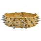 Spiked Leather Dog Collar – Crocodile Pattern for Large Dogs