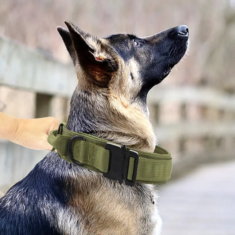 Tactical Dog Collar & Leash Set – Military-Grade for Training