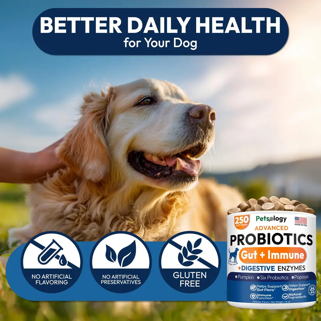 Petsology Probiotic Chews for Dogs – 250 Count | Digestive Enzymes, Prebiotics & Gut Health