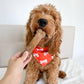 Nylabone Healthy Edibles Natural Dog Chews – Long Lasting Nylabones for Dogs | Chicken, Beef & Bacon