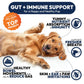 Petsology Probiotic Chews for Dogs – 250 Count | Digestive Enzymes, Prebiotics & Gut Health