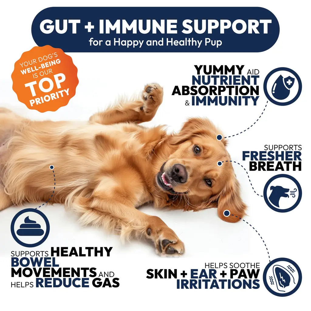 Petsology Probiotic Chews for Dogs – 250 Count | Digestive Enzymes, Prebiotics & Gut Health
