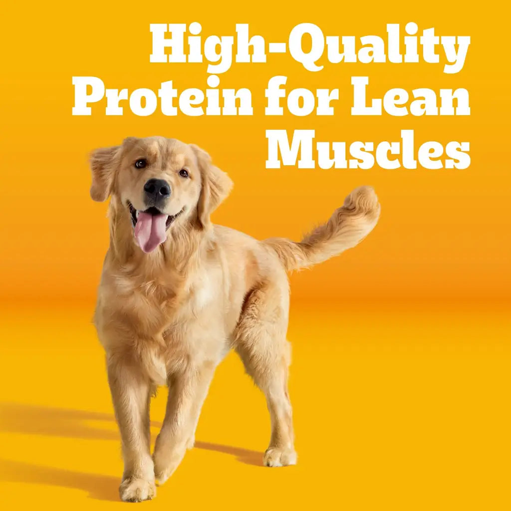 Pedigree Adult Dry Dog Food | Complete Nutrition | Grilled Steak & Vegetable, Chicken | 3.5 lb & 18 lb Bags