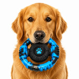 Tough Dog Toys for Aggressive Chewers – Indestructible Nylon Chew Toy with Squeaker