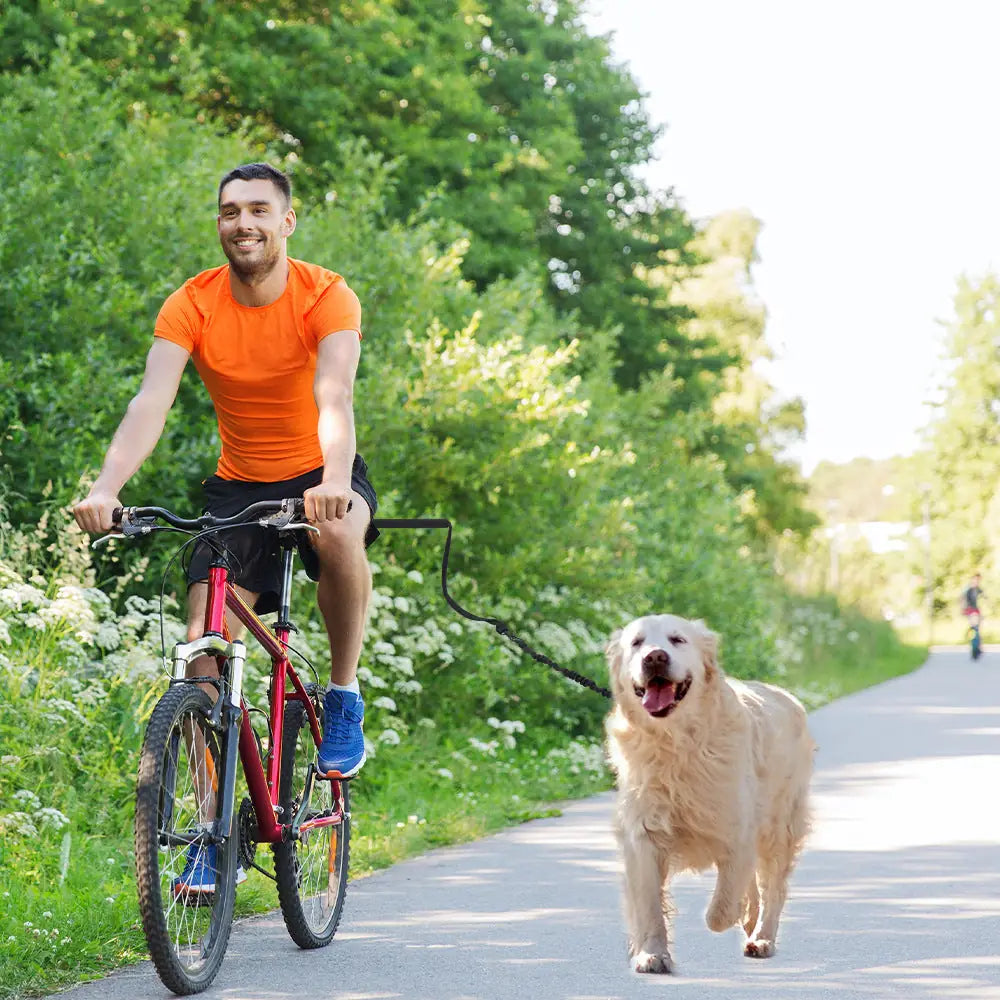 Cycling Dog Leash with Elastic Buffer – Hands-Free Walking Gear
