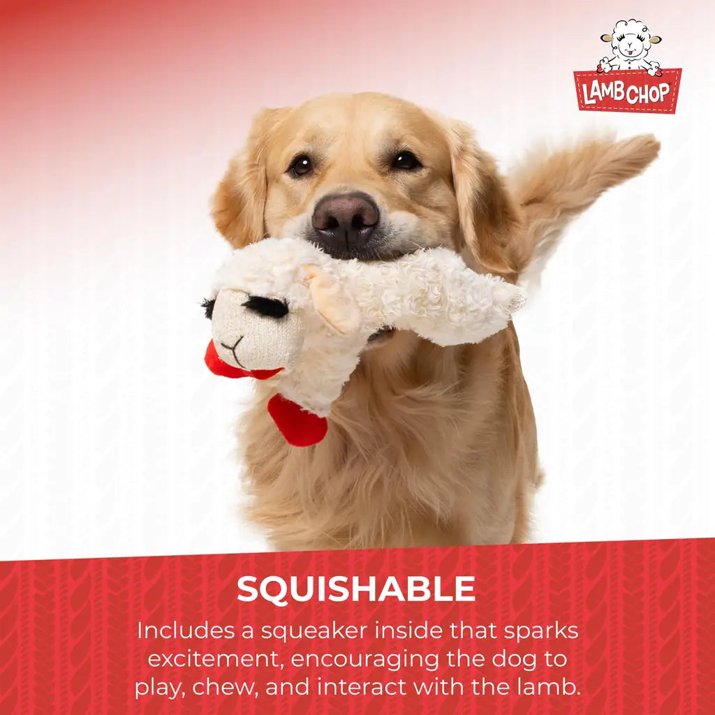 Lamb Chop Dog Plush Toy - Squeaky Toy for Small & Medium Dogs