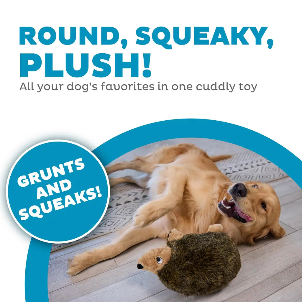 Outward Hound Hedgehogz Soft Plush Squeaky Dog Toy