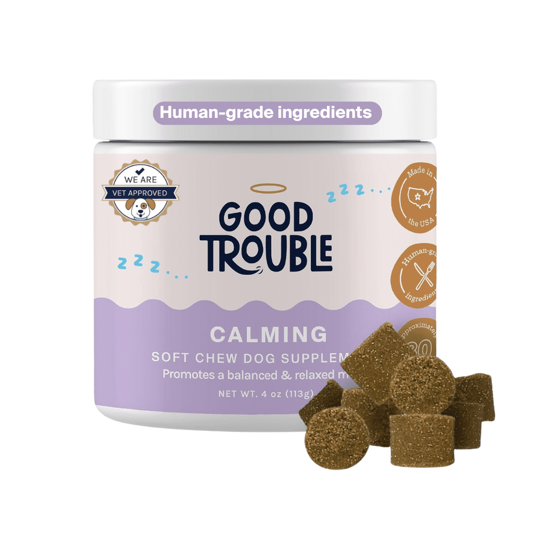 Good Trouble Pets Calming Supplement – Fruit Blend Flavor (30 Chews)